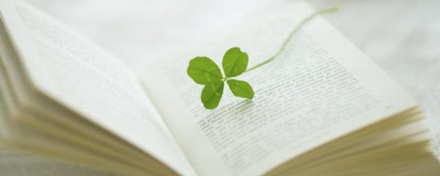 积极向上正能量的语段