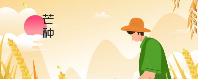 夏满芒夏暑相连指的是哪六个节气
