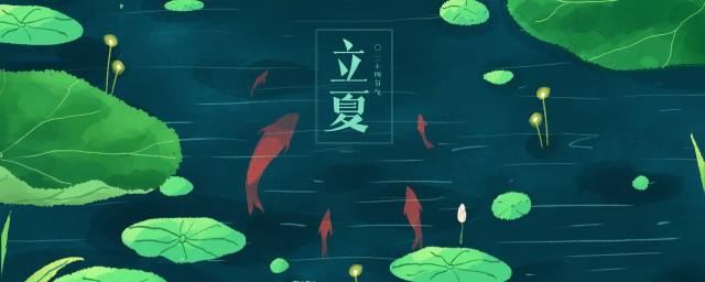 立夏节气吃什么好