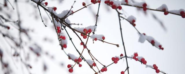 关于小雪节气发朋友圈的心情说说