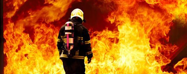 梦见房子着火了预示着什么