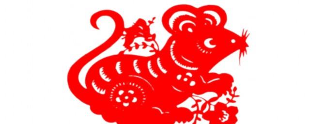 欲钱买皮笑肉不笑的动物是什么生肖