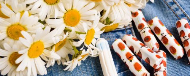 菊花的花语和寓意和象征