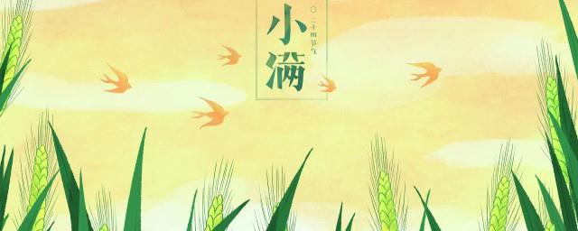 小满是第几个节气