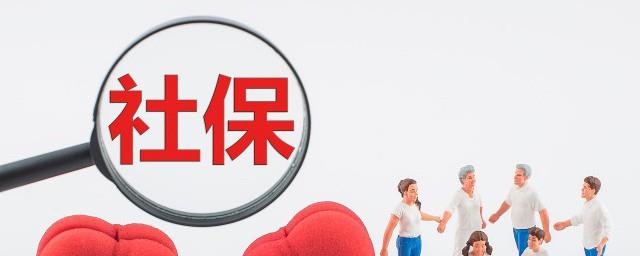 社保里面包含什么