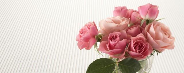 22朵玫瑰花语是什么
