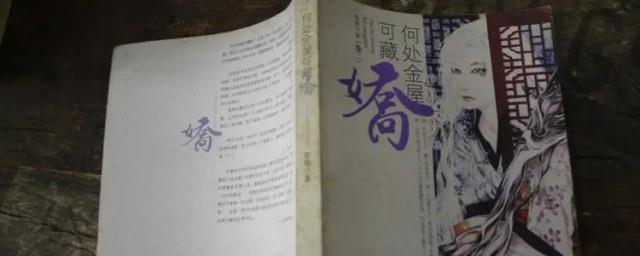 求类似于何处金屋可藏娇小说