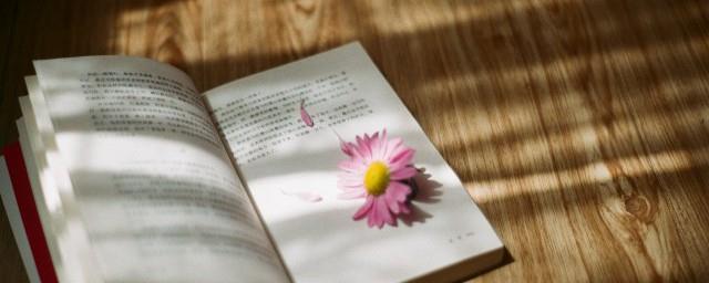 最是秋风管闲事红他枫叶白人头的意思