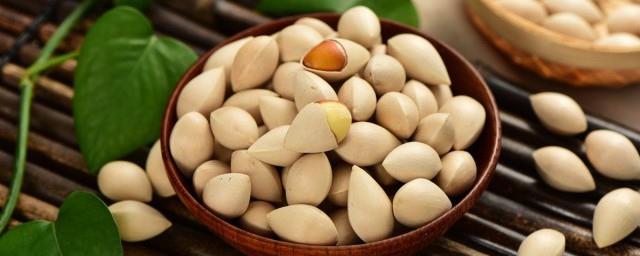 银杏的象征意义是什么