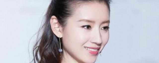 徐凤年母亲扮演者