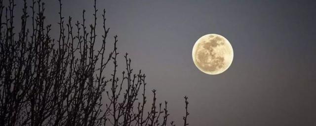 形容中秋节圆月的唯美句子说说