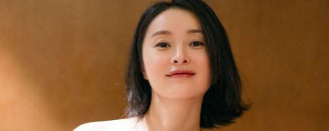 县委大院剧情介绍