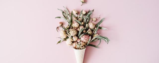生日送花代表什么意思