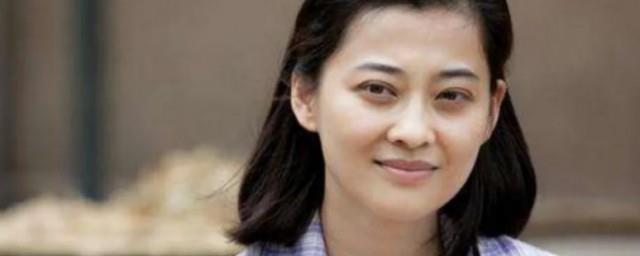 梅婷演李萍的电视剧叫什么